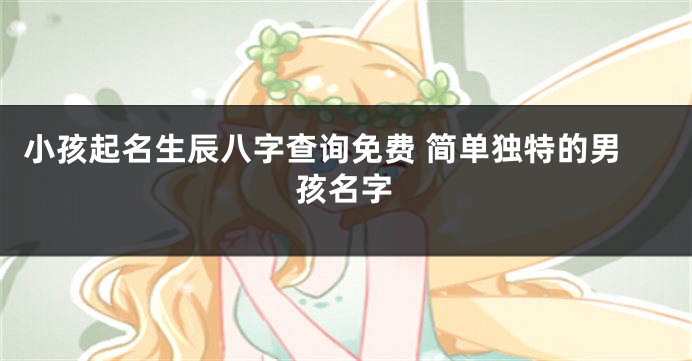小孩起名生辰八字查询免费 简单独特的男孩名字