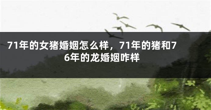 71年的女猪婚姻怎么样，71年的猪和76年的龙婚姻咋样