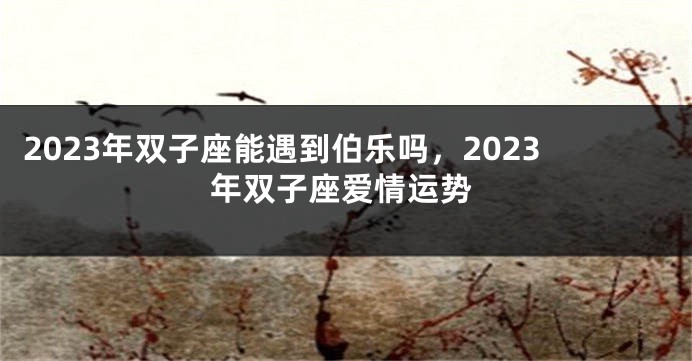 2023年双子座能遇到伯乐吗，2023年双子座爱情运势