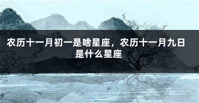 农历十一月初一是啥星座，农历十一月九日是什么星座