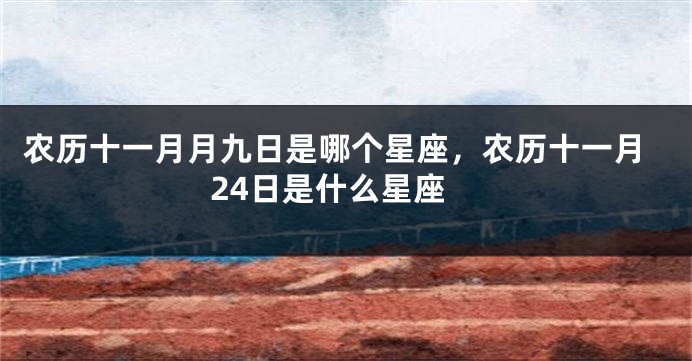 农历十一月月九日是哪个星座，农历十一月24日是什么星座