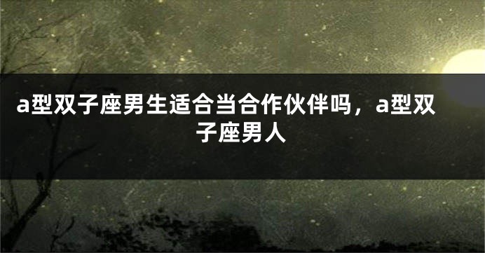 a型双子座男生适合当合作伙伴吗，a型双子座男人