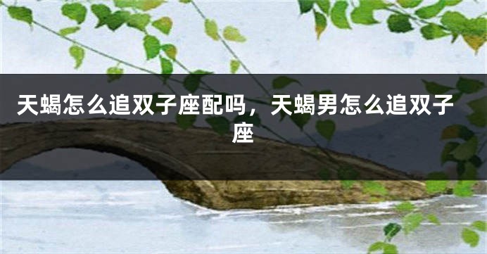 天蝎怎么追双子座配吗，天蝎男怎么追双子座