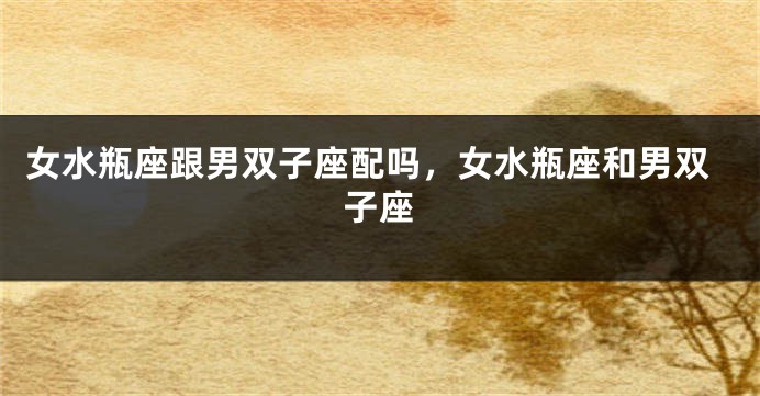 女水瓶座跟男双子座配吗,女水瓶座和男双子座