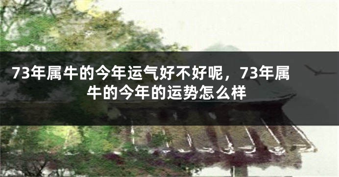 73年属牛的今年运气好不好呢，73年属牛的今年的运势怎么样