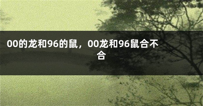 00的龙和96的鼠，00龙和96鼠合不合