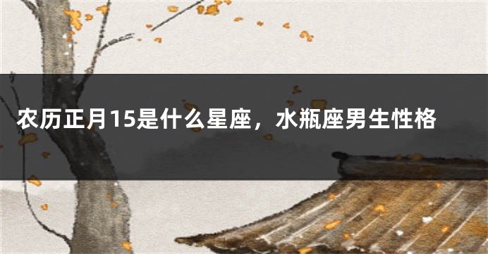 农历正月15是什么星座，水瓶座男生性格