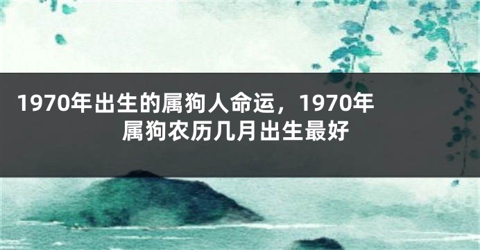 1970年出生的属狗人命运，1970年属狗农历几月出生最好
