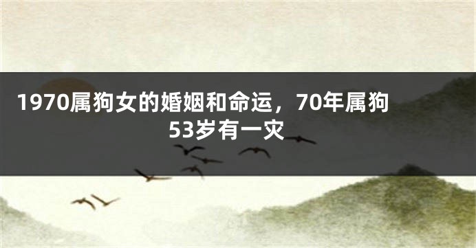 1970属狗女的婚姻和命运，70年属狗53岁有一灾