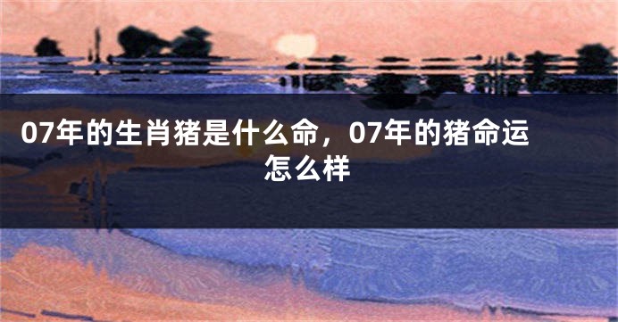 07年的生肖猪是什么命，07年的猪命运怎么样