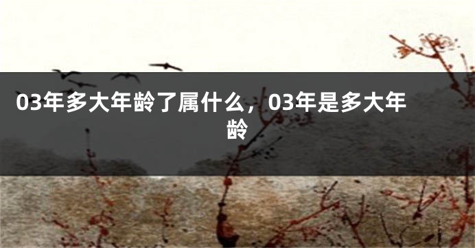 03年多大年龄了属什么，03年是多大年龄
