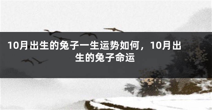 10月出生的兔子一生运势如何，10月出生的兔子命运