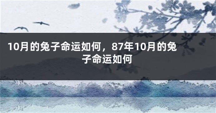 10月的兔子命运如何，87年10月的兔子命运如何