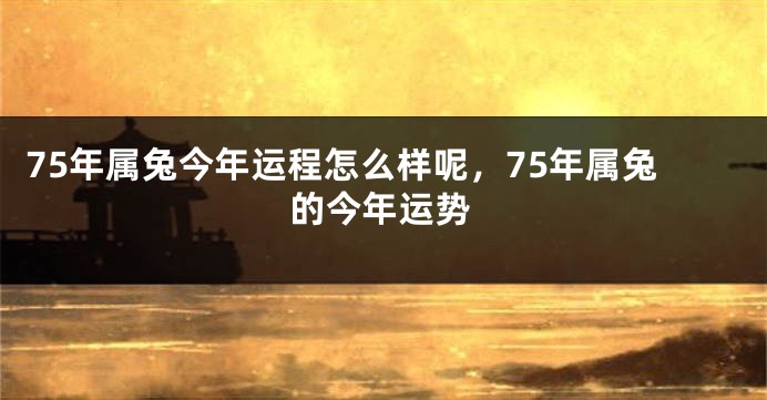 75年属兔今年运程怎么样呢，75年属兔的今年运势