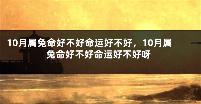10月属兔命好不好命运好不好，10月属兔命好不好命运好不好呀