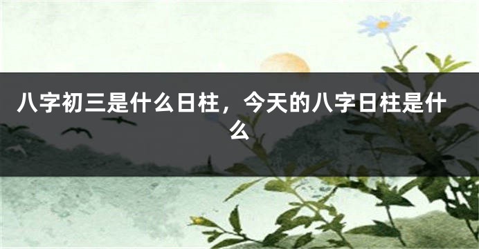 八字初三是什么日柱,今天的八字日柱是什么