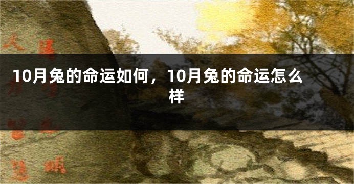 10月兔的命运如何，10月兔的命运怎么样