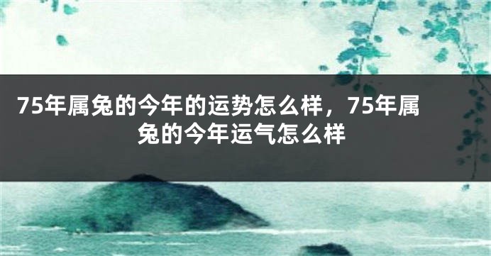 75年属兔的今年的运势怎么样，75年属兔的今年运气怎么样