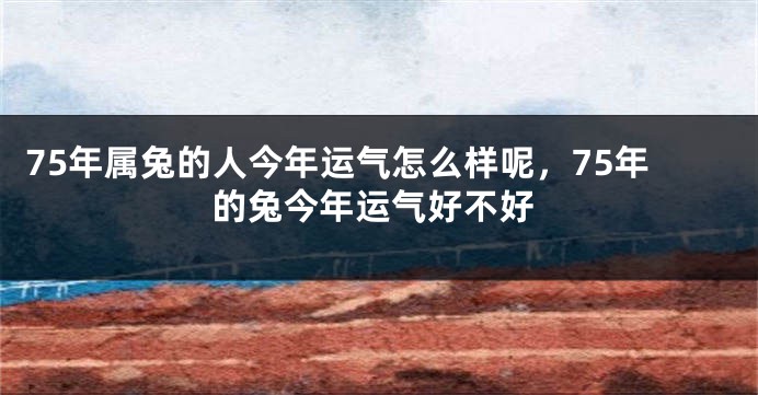 75年属兔的人今年运气怎么样呢，75年的兔今年运气好不好