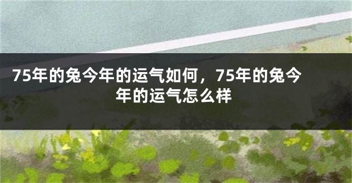 75年的兔今年的运气如何，75年的兔今年的运气怎么样