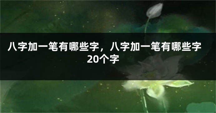 八字加一笔有哪些字，八字加一笔有哪些字20个字