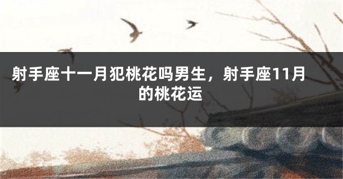 射手座十一月犯桃花吗男生，射手座11月的桃花运