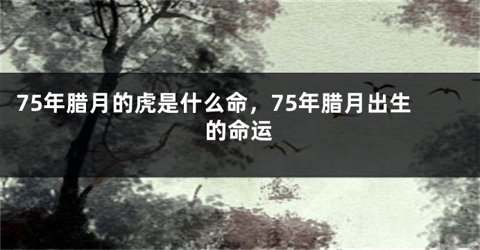 75年腊月的虎是什么命，75年腊月出生的命运