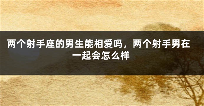 两个射手座的男生能相爱吗，两个射手男在一起会怎么样