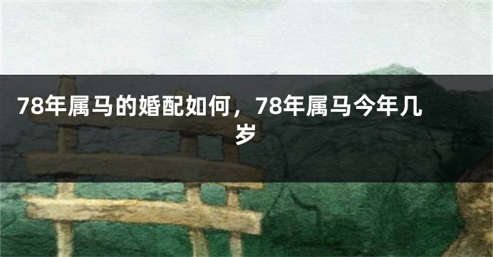 78年属马的婚配如何，78年属马今年几岁