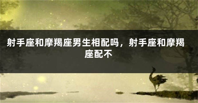 射手座和摩羯座男生相配吗，射手座和摩羯座配不