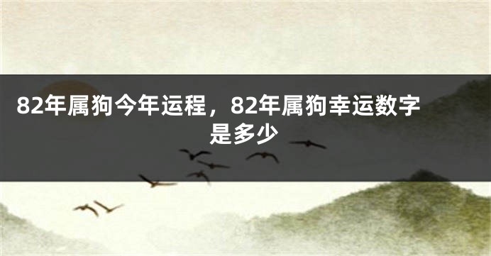 82年属狗今年运程，82年属狗幸运数字是多少