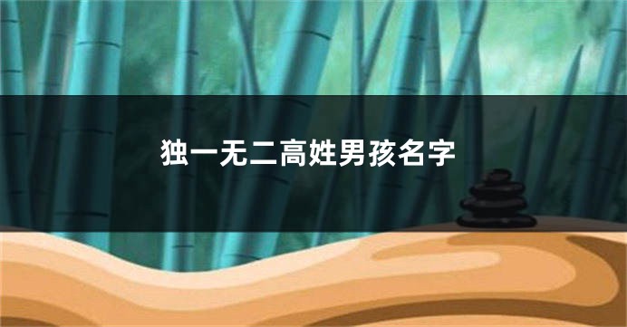 独一无二高姓男孩名字