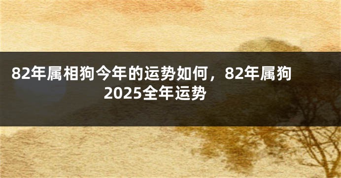 82年属相狗今年的运势如何，82年属狗2025全年运势