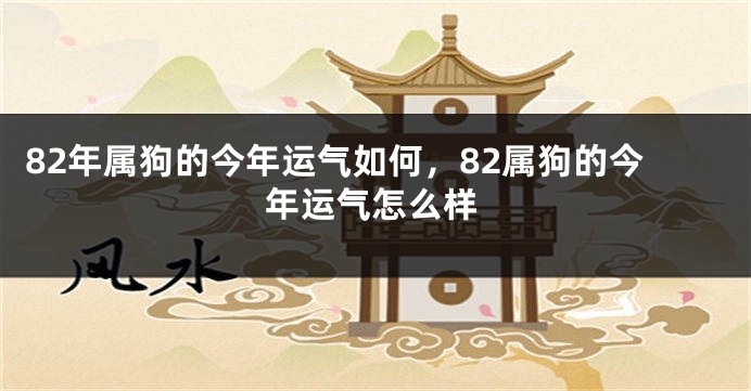 82年属狗的今年运气如何，82属狗的今年运气怎么样