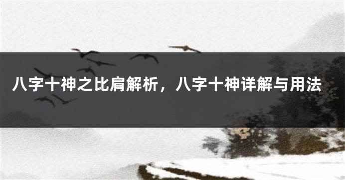 八字十神之比肩解析，八字十神详解与用法