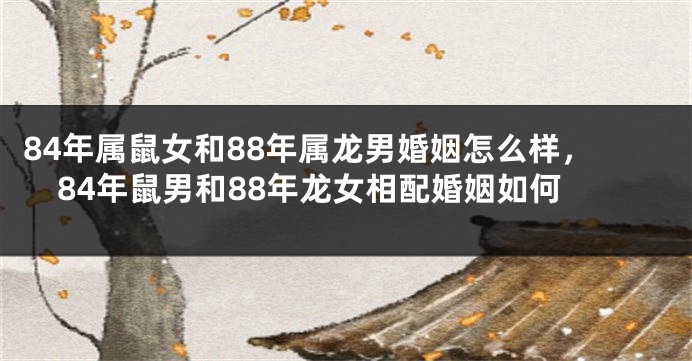 84年属鼠女和88年属龙男婚姻怎么样，84年鼠男和88年龙女相配婚姻如何