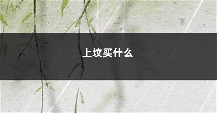 上坟买什么