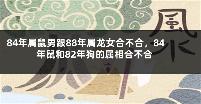 84年属鼠男跟88年属龙女合不合，84年鼠和82年狗的属相合不合