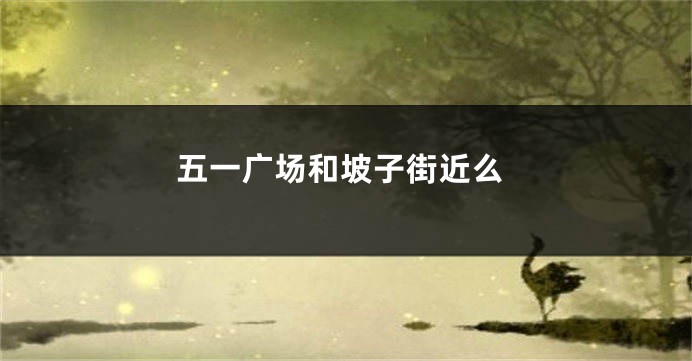 五一广场和坡子街近么