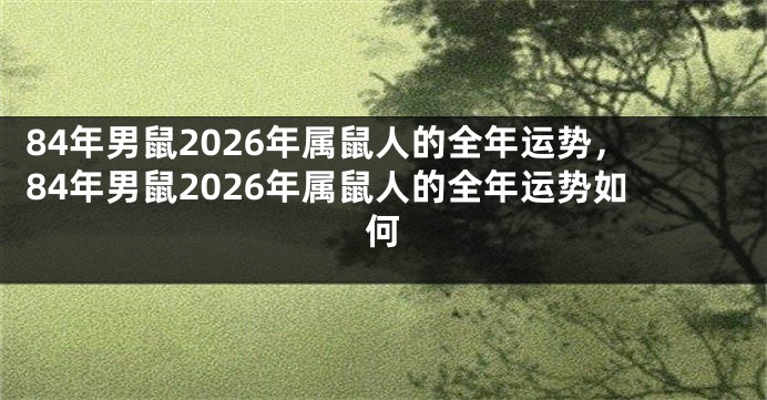 84年男鼠2026年属鼠人的全年运势，84年男鼠2026年属鼠人的全年运势如何