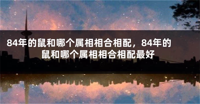 84年的鼠和哪个属相相合相配，84年的鼠和哪个属相相合相配最好