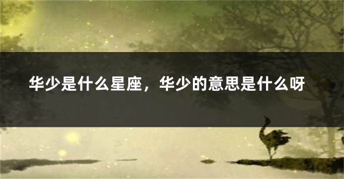 华少是什么星座，华少的意思是什么呀