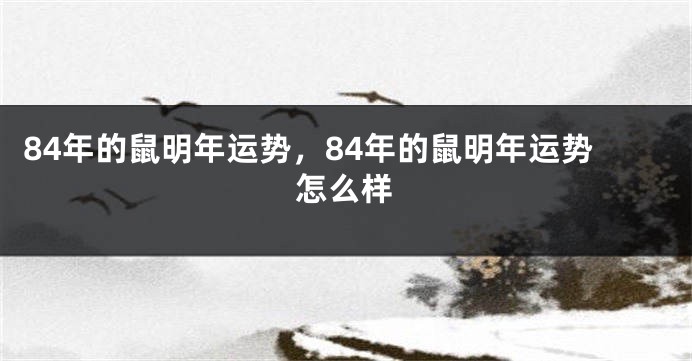 84年的鼠明年运势，84年的鼠明年运势怎么样