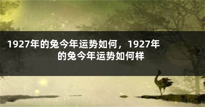 1927年的兔今年运势如何，1927年的兔今年运势如何样