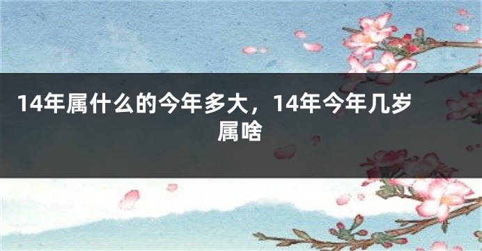 14年属什么的今年多大，14年今年几岁属啥