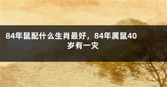84年鼠配什么生肖最好，84年属鼠40岁有一灾