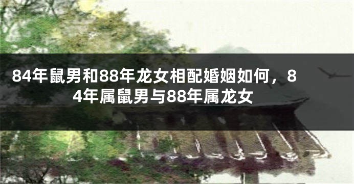 84年鼠男和88年龙女相配婚姻如何，84年属鼠男与88年属龙女