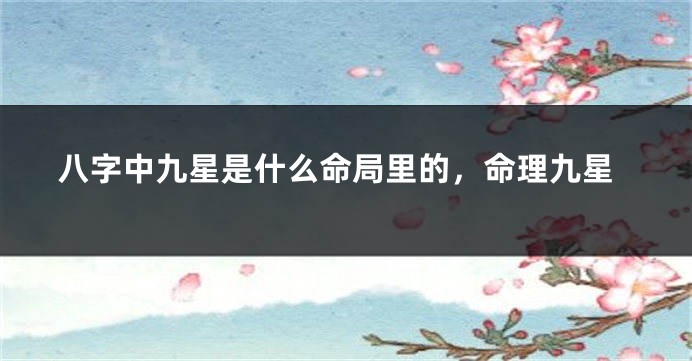 八字中九星是什么命局里的，命理九星
