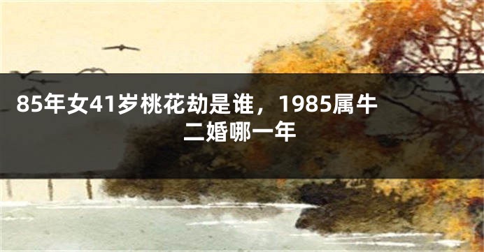 85年女41岁桃花劫是谁，1985属牛二婚哪一年