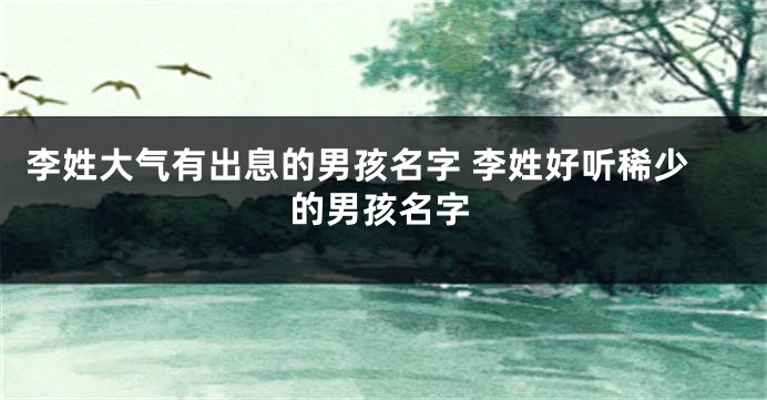 李姓大气有出息的男孩名字 李姓好听稀少的男孩名字